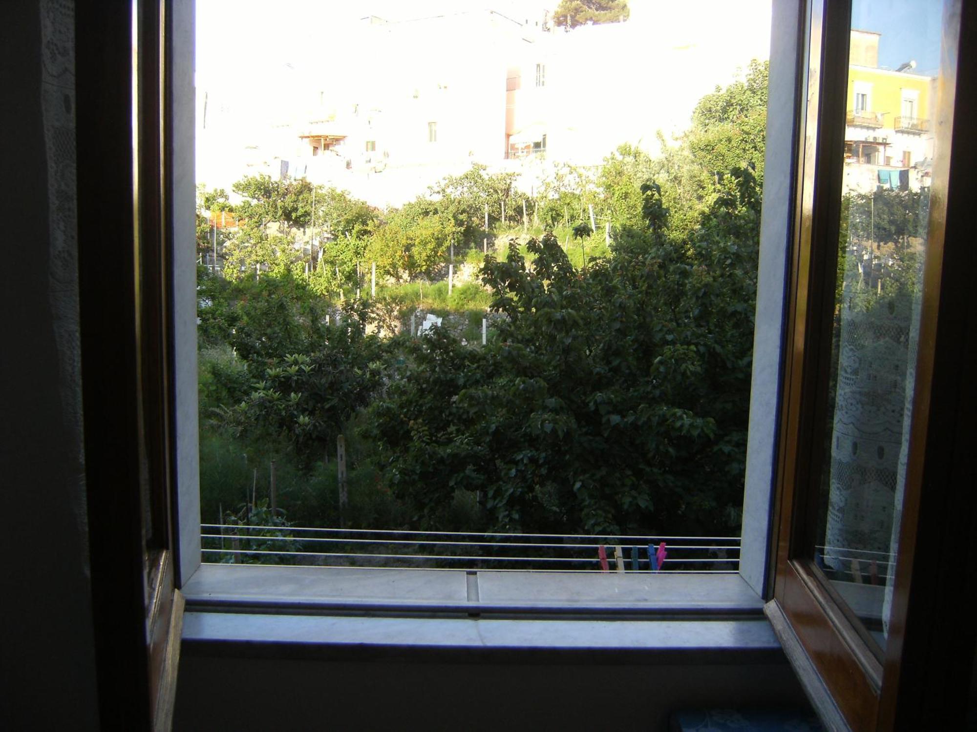 Blu Mare Hotell Ponza Eksteriør bilde