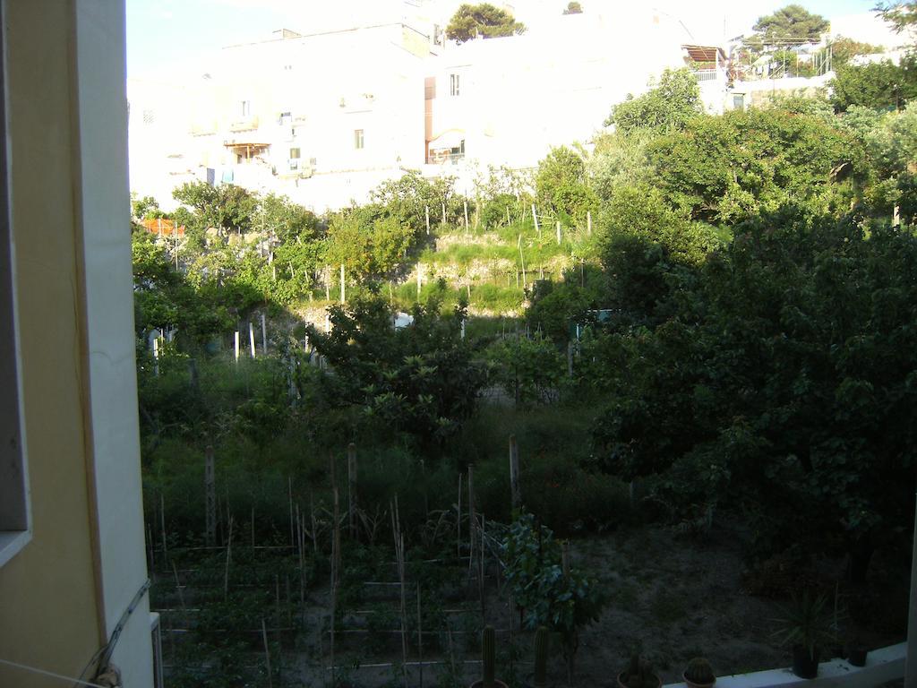 Blu Mare Hotell Ponza Eksteriør bilde